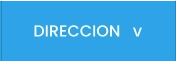 DIRECCION   v