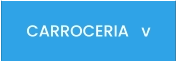 CARROCERIA   v